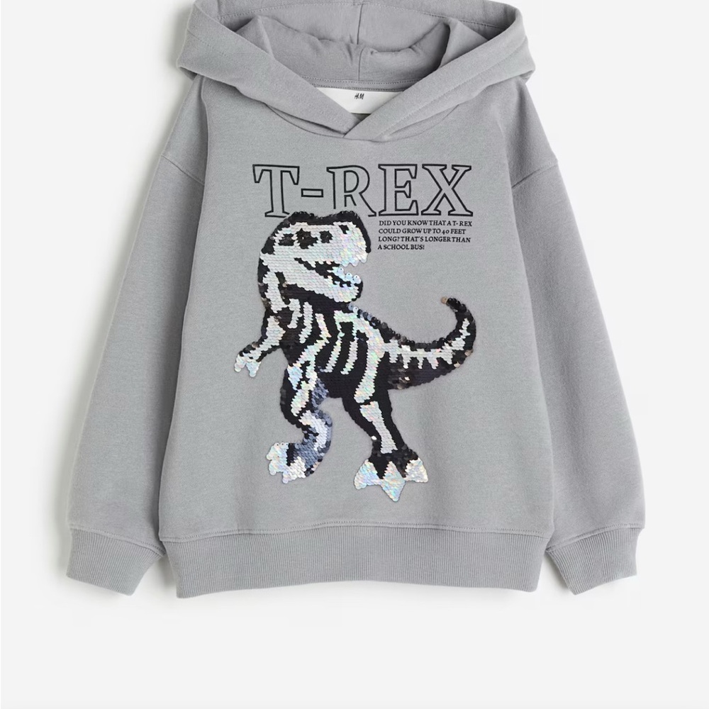 Gray Dinosaur Hoodie for Kids
